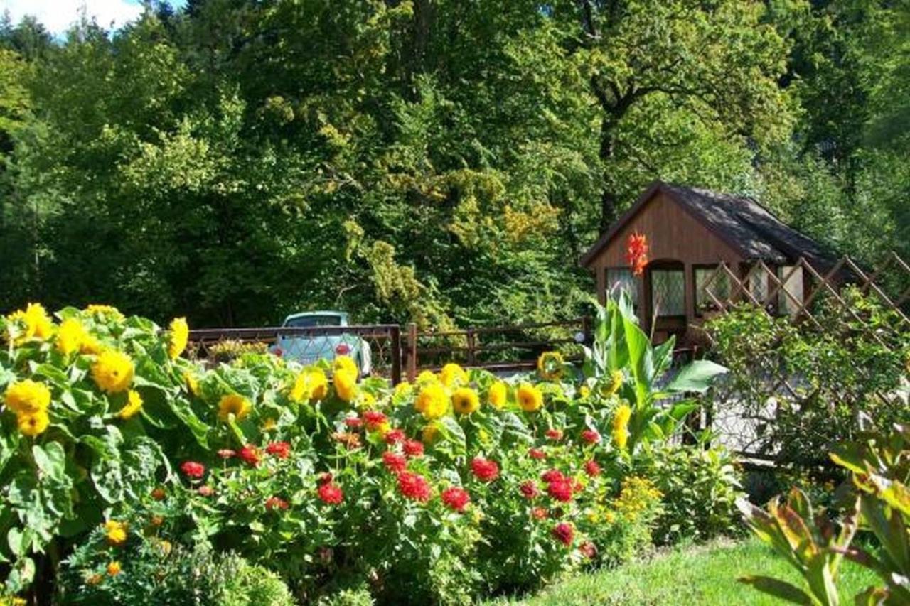 Apartament I Pokoje Goscinne U Lusi Wisła Exterior foto